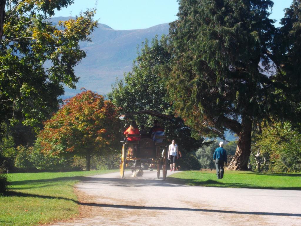 No 1 Killarney Holiday Village Vacation Home 部屋 写真