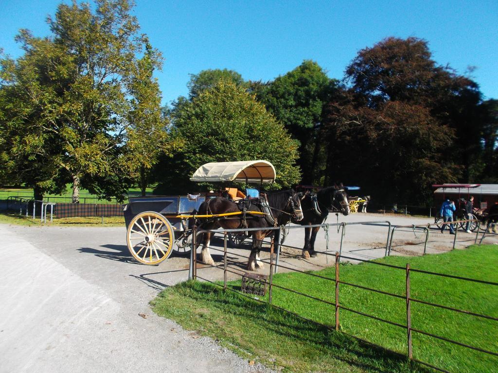 No 1 Killarney Holiday Village Vacation Home 部屋 写真